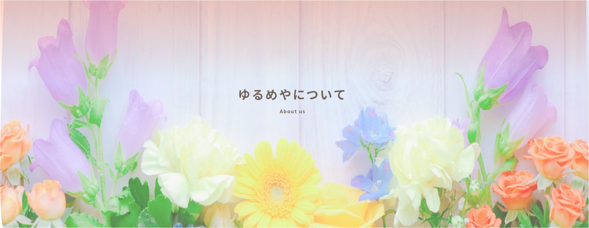 「ゆるめや」について